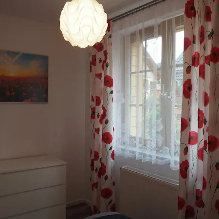 Apartament Red Flowers *